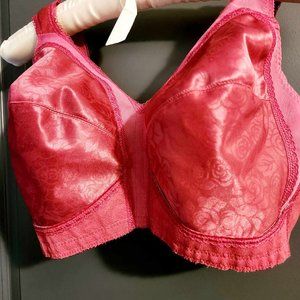 Light Burgundy Playtex Bra Size 38D